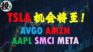 美股 | 投资 | 股票 | TSLA股票可以买入吗？账户持仓更新，特斯拉股票，苹果股票，AVGO股票，AMZN股票，SMCI股票，META股票