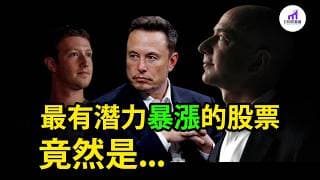 股票，價格合理！暴漲，潛力驚人！3支必投的“問題股”！【D的財富鏈】美股7巨頭，深度分析！(下集）TSLA META AMZN MSFT GOOG AAPL NVDA