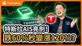 特斯拉天亮了！AI5「三合一」晶片流片，每輛特斯拉變成移動的輝達H100？馬斯克Terafab工廠的關鍵拼圖，藏著華爾街翻倍密碼？#Tesla #Robotaxi