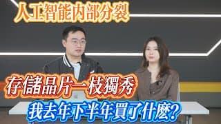 存儲晶片一枝獨秀（我去年下半年買了什麼？）