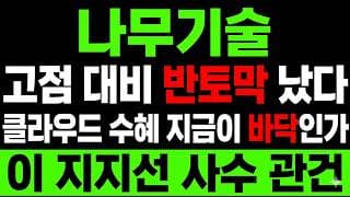 [나무기술 주가 전망] (속보) 나무기술 AI·클라우드 수혜 끝? 급락 후  "마지막 저점" 지금일까!