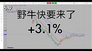 今天野牛缩水了，不过大野牛应该快来了