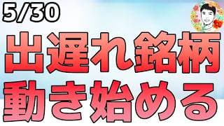 デルの強烈決算でAI需要は強いと再認識！ソフトウェア株の復活となるか⁉【5/30 米国株ニュース】