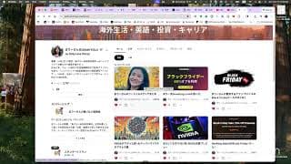 BlackFridayセール現地報告！モールの混雑度・レジの列調査！消費者の健康度・強いブランドは？サンタラリーは来るのか？シャドーFEDの働き・25年11月30日・YT編