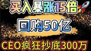 美股投资｜全网独家埋伏1500%盈利!公司CEO疯狂回购50亿.别错过严重低估的Saas软件牛股?｜美股趋势分析｜美股期权交易｜美股赚钱｜美股2026