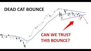 Technical Analysis of Stocks: SPY / QQQ / NVDA / TSLA / AMD / PLTR / ORCL / HOOD