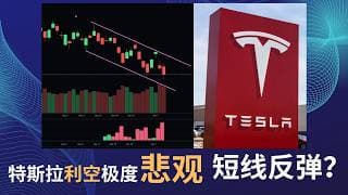 【2026-04-06】特斯拉销量利空极度悲观、短线反弹？
