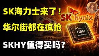 SK海力士重磅IPO！史上最大 296 亿 ADR，全网都在吹 SKHY 打新，72% 利润率真的闭眼买？万字深度分析，基本面 + 操作策略一次公布！SKHY.MU.SNDK.STX #美股 #ai