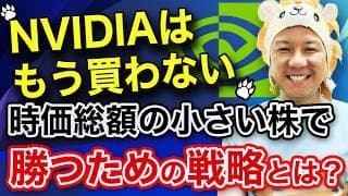 【超重要】NVIDIAはもう買わない！時価総額の小さい株で勝つための戦略とは？暴落より怖いインフレ格差の真実とは？金融リテラシーを高めて堅実に資産運用していこう！米高株FIREが最強！