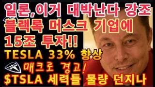 큰손들 움직이기 시작! / $TSLA 세력들 물량 던지나? / 블랙록 최대 15조원 투자 / 머스크 '대박 난다' 자신 / TESLA 33% 향상 / 바이킹 글로벌 $TSLA 매입