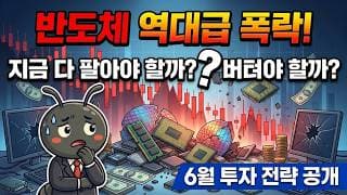 반도체 역대급 폭락, 지금 다 팔아야 할까? 버텨야 할까? 6월 투자 전략