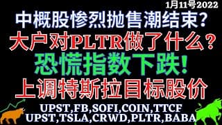 中概股惨烈抛售潮结束？ 大户对PLTR做了什么? 恐慌指数下跌! 上调特斯拉目标股价 UPST,FB,SOFI,COIN,TTCF,UPST,TSLA,CRWD,PLTR,BABA