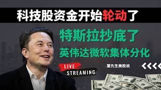 【美股】资金大迁移！闪迪美光反弹，特斯拉抄底，英伟达微软全线分化！下一波主线曝光？#美股 #美股分析 #董先生美股说 #资金 #美光 #特斯拉 #微软 #存储芯片 #英伟达 #财报 #科技股