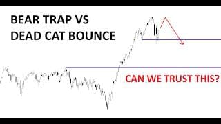 Technical Analysis of Stocks: SPY / QQQ / NVDA / TSLA / AMD / PLTR / MSFT