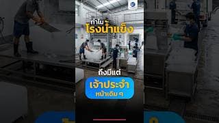 ทำไม โรงน้ำแข็ง ถึงมีแต่เจ้าประจำ หน้าเดิม ๆ