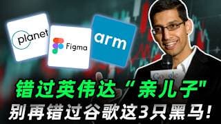 错过英伟达“亲儿子”爆发？别再错过谷歌背书的这3只黑马！深度拆解Alphabet 13F底牌：谁是下一个翻倍牛股？PL,FIG,ARM,GOOG #trading  #投資  #美股