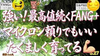 力技FANG＋最高値続伸！伏兵メタが戦闘モード！マイクロンも好調！再びお金もち指数へ🚀半導体は一休みもすぐあがってくるか。S&P500も最高値更新！やるね！【米国株ニュース 新NISA攻略】