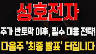 [성호전자 주가전망] 주가 반토막 이후, 필수 대응 전략! 다음주 '최종 발표' 터진다?