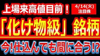 【急騰警報】上場来高値目前！ついに本格的な上昇フェーズ突入か？今から仕込んでもまだ間に合う!?化け物級銘柄！【2026年4月14日(火)の注目株、日本株】