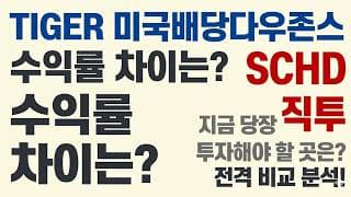 타미당 vs SCHD 직투 수익률 차이는? TIGER 미국배당다우존스