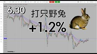 没有直接大阳线，继续震荡，打只野兔，明天等野牛