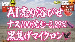 AI売りいきなりクライマックス！決算前マイクロン沈む。FANG+,NASDAQ100もきつい！韓国下げが世界一周してる🥶【米国株ニュース 新NISA攻略】