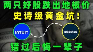两只优质公司在市场恐慌中被砸到地板价！一个极为罕见的史诗级黄金坑正在出现，真正的布局窗口或许就在眼前！INTU,BN#美股 #熱門 #投資 #trading #saas #ai #资产管理