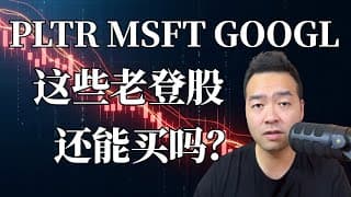 公开账户大跌！PLTR, 微软，谷歌，这些“老登股”还能入吗？ ｜ 百万挑战EP12