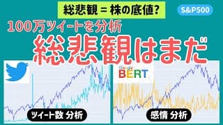 【S&P500】総悲観は株の底値なのか。個人投資家の感情から、今後の株価を予想【米国株】