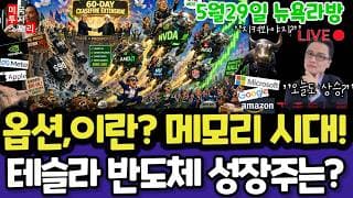 미국주식/옵션,이란 휴전, 델 어닝 적정주가?(편집본)/ 테슬라 엔비디아 구글 애플 아마존 메타 아이온큐 삼성전자 하이닉스 마이크론 테크놀로지 브로드컴 인텔AMD 코어위브 샌디스크
