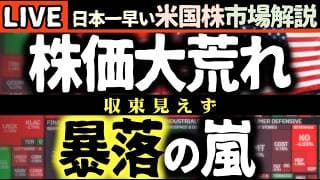 【速報】米国株大荒れ！半導体暴落で市場はどこへ向かう？📉AI株の行方も徹底解説！【米国株で朝活投資】日本一早い米国株市場解説 朝4:30～夏時間