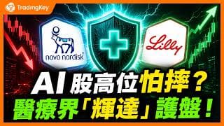 輝達蘋果高點跳水！AI科技股高位不敢拿，拿著怕跌賣了怕踏空？這批冷了三年的減肥藥龍頭，才是下半年穩賺黑馬！#LLY #NVO