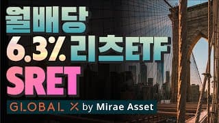 [미국회계사의 미국주식 분석] 월배당 ETF, 배당률 6.38% 미국주식, SRET