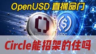 OpenUSD直捅Circle命门！Circle能招架得住么？#股票 #美股 #财经 #股市 #投资 #币圈 #稳定币