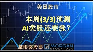 【24010】PLTR, AI等小型AI股票要暴涨？
