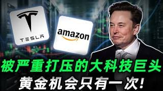 被市场严重打压的大科技巨头，真正的黄金机会可能只有这一次，错过或许要再等很多年!TSLA,AMZN#trading #投資  #美股
