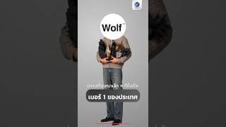 รู้จัก Wolf BKK บริษัทเอเจนซี่โฆษณา อันดับ 1 ของไทย ที่มีพนักงานแค่ 23 คน