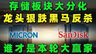 存储板块明显分化，龙头股下跌幅度更大却反弹有限，而黑马回调较小却持续走强，在这种弹性错位之下，本轮行情的真正赢家究竟是谁？MU,SNDK,WDC,STX#美股 #投資 #熱門 #trading #存储