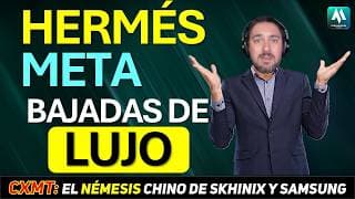 💥Hermés y Meta CASTIGADAS ¿Cúales son los motivos?