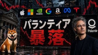パランティア暴落