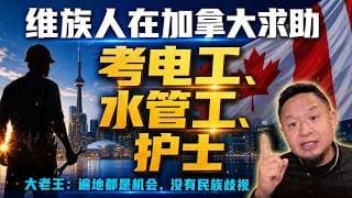 维族人在加拿大求助：怎么重新发展职业？｜王叔：考电工水管工，遍地都是机会+准噶尔族被屠灭的历史！老王来了：#维族 #加拿大移民 #准噶尔族 #民族问题 #大老王#电工 #水管工 #护士