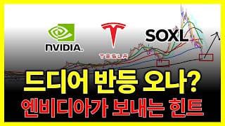 드디어 반등 오나? 엔비디아가 보내는 힌트 (테슬라 SOXL 아이온큐 오라클 아마존닷컴 네비우스