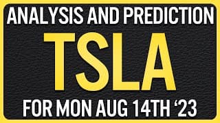 Tesla Stock Price Analysis | Signals and Key Levels for Monday August 14th