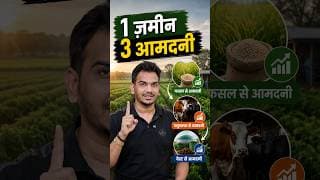 Ek zameen Teen aamdani. 💰 Zero waste.  #CircularFarming #SustainableAgriculture #ZeroWaste