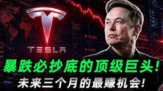 华尔街直指 $600！暴跌必抄底的顶级巨头，未来三个月的最赚机会就在眼前！TSLA#trading  #投資  #美股