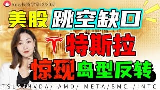 【美股12.30盘前展望】💥美股跳空缺口，25年最后几个交易日能平稳度过吗？ ⭐特斯拉惊现岛型反转！#tsla #美股#股票#nvda  #amd #meta#smci#intc  #mstr