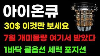 [아이온큐 분석] 7월 개미물량 싹 받았다! 메이저 콜옵션 세력 1바닥 시그널! 이번주 이 가격만 보면 됩니다!