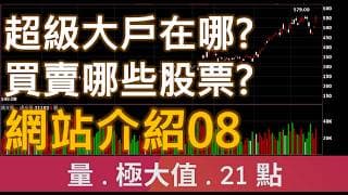 超級大戶在哪? 買賣哪些股票?  | 廖兄 | 網站介紹08