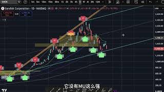 7月26日一周美股复盘，存储半导体死猫跳还是中期复活？仍然看好的中期个股；轮动分化何时停止？SPY标普QQQ纳斯达克；BTC比特币；MU, SNDK, NBIS, LITE等走势技术分析