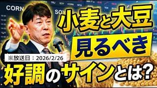 【2026年2月26日】小麦と大豆市場に好調の兆し？ 見逃せないサインとは